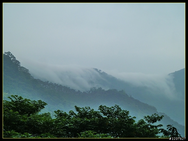 2011.12.07_首探獨立山頭-大坪山