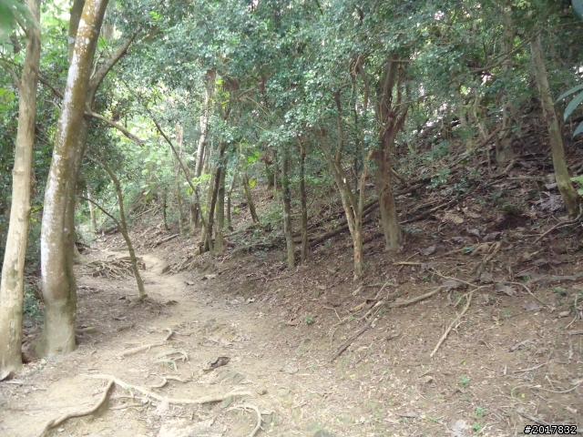 12/15南化北寮糖子恩山(鈺鼎步道)