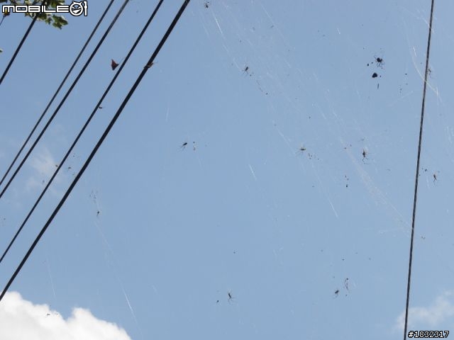 1001204雪見鐵馬行