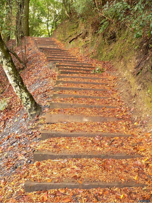 做了，一切就都值得了!! 天氣不好也要去~ 12/12-12/17(福壽山農場-合歡山主峰-奧萬大-阿里山) day3
