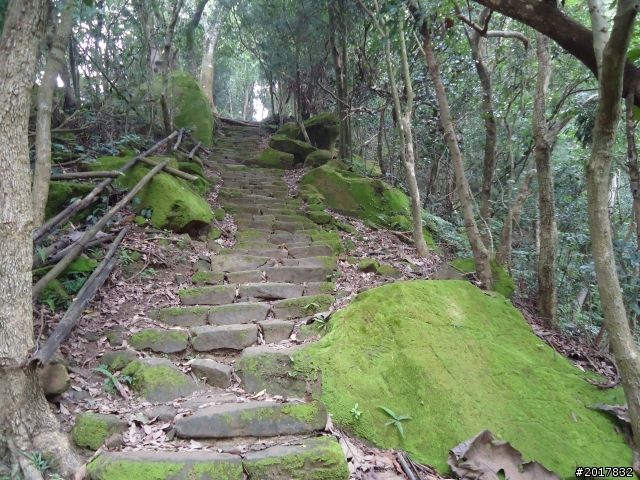 12/15南化北寮糖子恩山(鈺鼎步道)