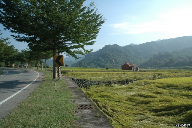 戀戀193花東單車自由行