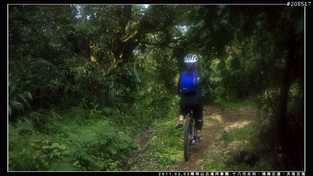 「遊記拾遺」陽明山古道 - 十八分水圳、橫嶺古道、天母古道、天母山步道