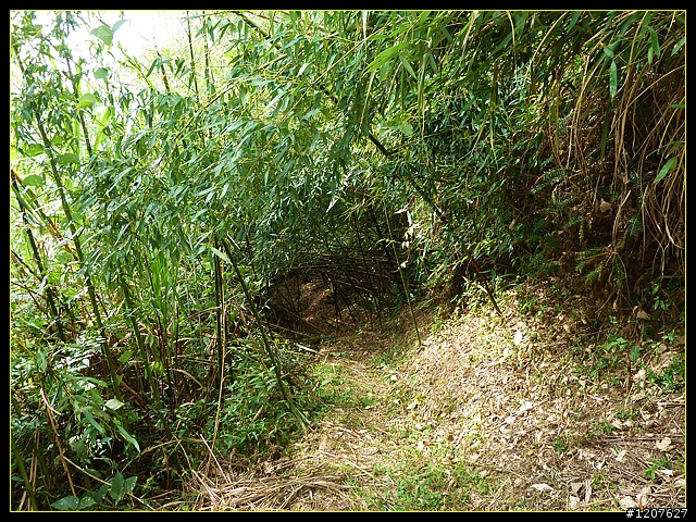 2011.12.26_水社寮-水水古道(順登五棲嶺)