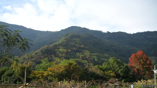 聖誕前夕-雪見飲恨之旅
