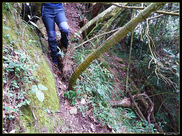 2011.12.26_水社寮-水水古道(順登五棲嶺)