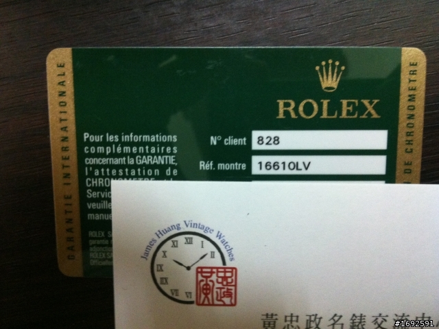 我的聖誕禮物~綠蠵龜(綠水鬼)