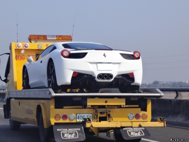 我也遇到了一匹白馬，只是，主人疼他讓他在車上休息