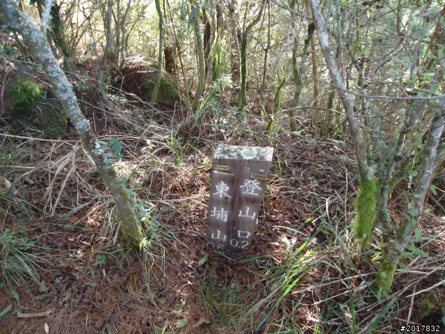 12/19冬日的塔塔加東埔山行