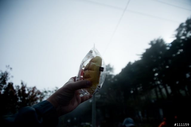 雲海、日出、汗水、天使的眼淚、嘉明湖