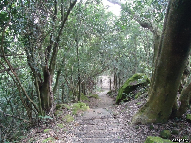 12/15南化北寮糖子恩山(鈺鼎步道)