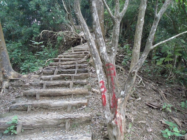12/15南化北寮糖子恩山(鈺鼎步道)
