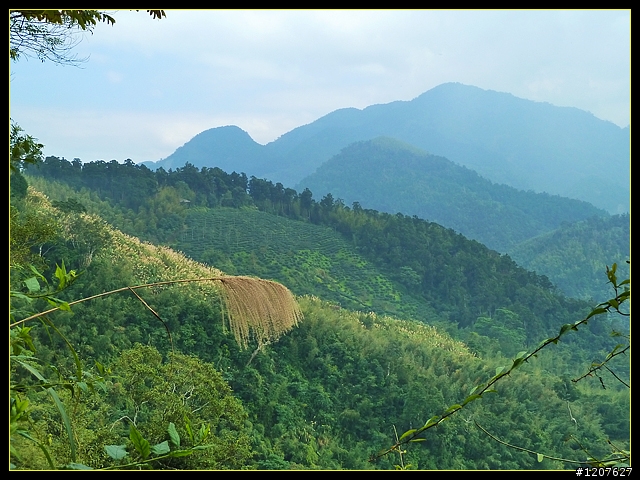 2011.12.26_水社寮-水水古道(順登五棲嶺)