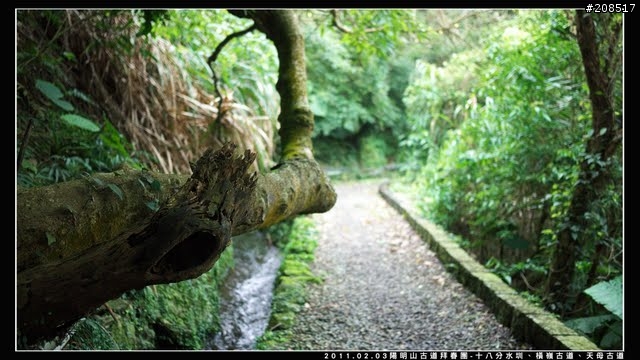 「遊記拾遺」陽明山古道 - 十八分水圳、橫嶺古道、天母古道、天母山步道