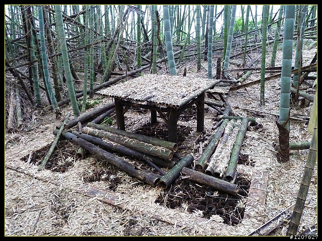 2011.12.26_水社寮-水水古道(順登五棲嶺)