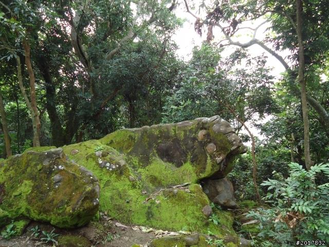 12/15南化北寮糖子恩山(鈺鼎步道)
