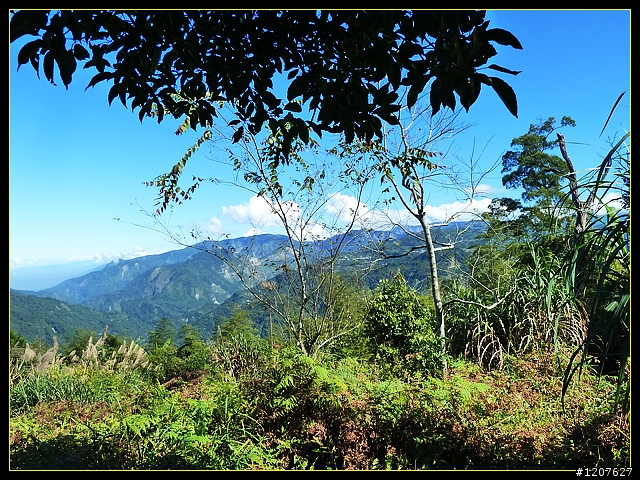 2011.12.07_首探獨立山頭-大坪山
