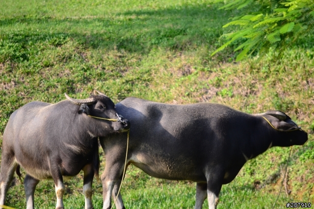 午後的藝大慢活行