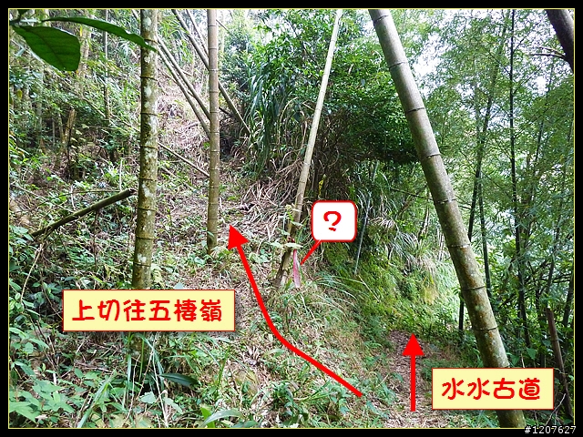 2011.12.26_水社寮-水水古道(順登五棲嶺)