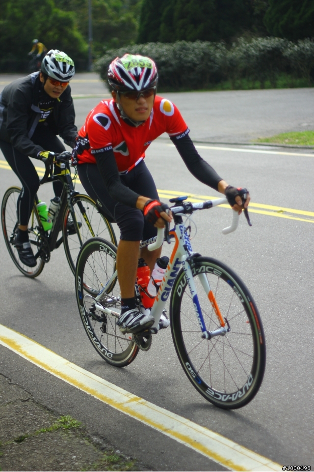 (冷水坑松園)2011陽金P字山道照片分享