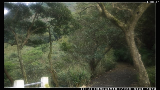 「遊記拾遺」陽明山古道 - 十八分水圳、橫嶺古道、天母古道、天母山步道