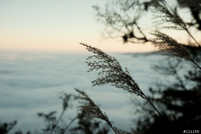 雲海、日出、汗水、天使的眼淚、嘉明湖