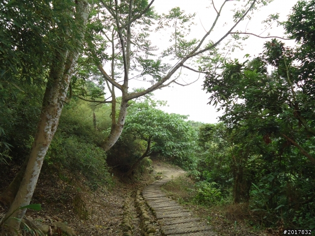 12/15南化北寮糖子恩山(鈺鼎步道)