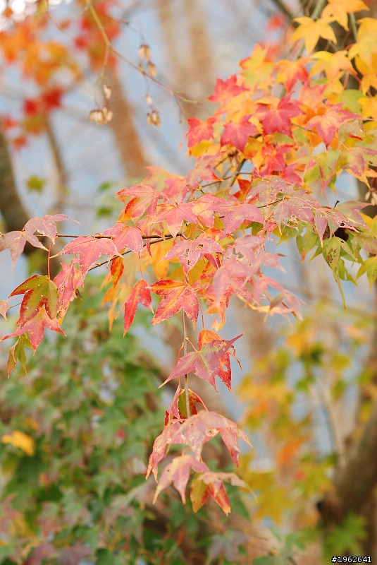 喀拉賀溫泉一日遊