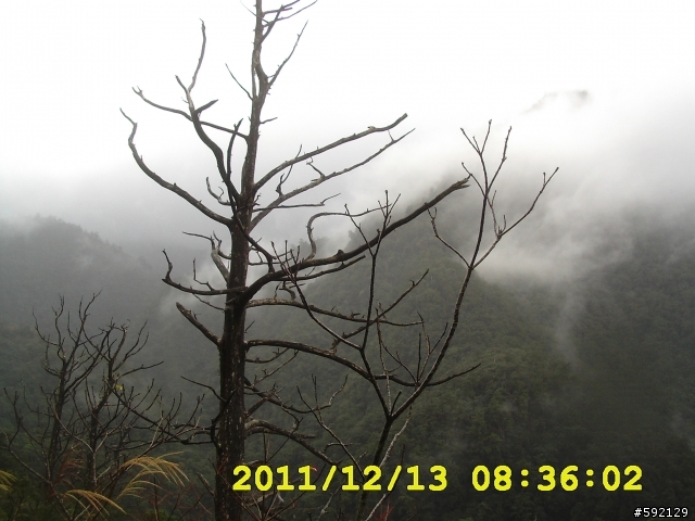 北橫 合歡山 清境