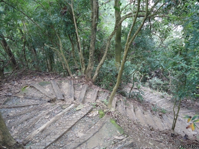 12/15南化北寮糖子恩山(鈺鼎步道)
