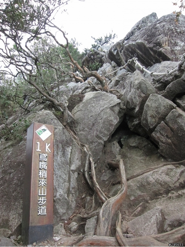 大雪山支線鳶嘴山一日遊(圖多)