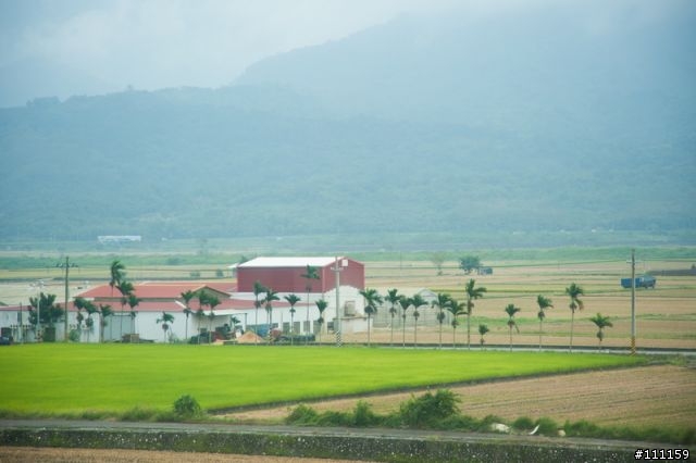 雲海、日出、汗水、天使的眼淚、嘉明湖