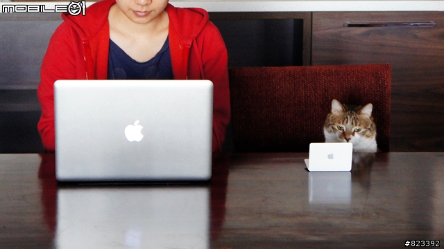 貓咪專用MACBOOK！