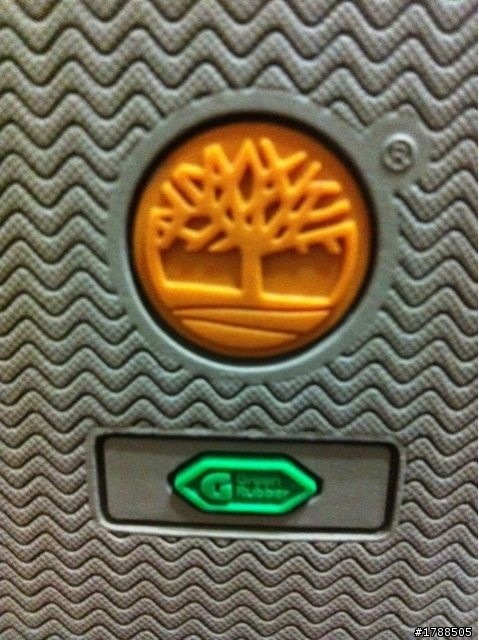 Timberland開箱(73196)