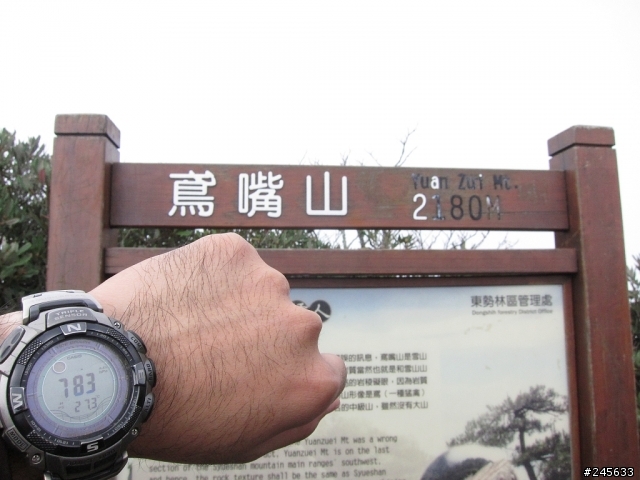 大雪山支線鳶嘴山一日遊(圖多)