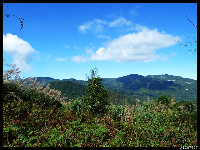 2011.12.07_首探獨立山頭-大坪山