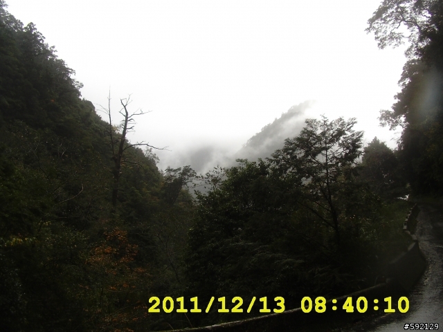 北橫 合歡山 清境