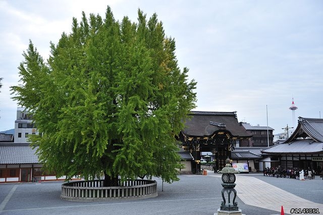 [分享]日本世界文化遺產 - 京都(下)