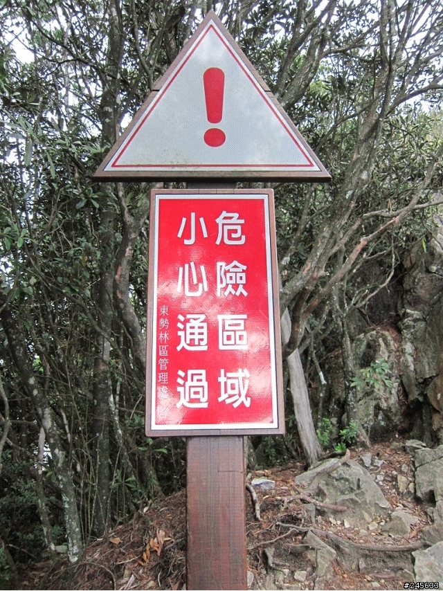 大雪山支線鳶嘴山一日遊(圖多)