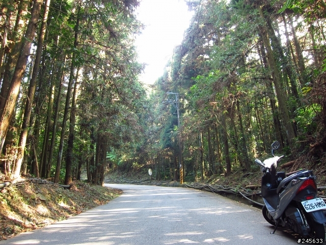 大雪山支線鳶嘴山一日遊(圖多)