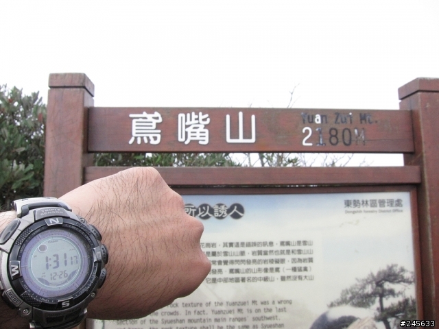 大雪山支線鳶嘴山一日遊(圖多)