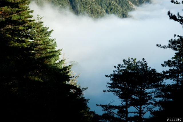 雲海、日出、汗水、天使的眼淚、嘉明湖