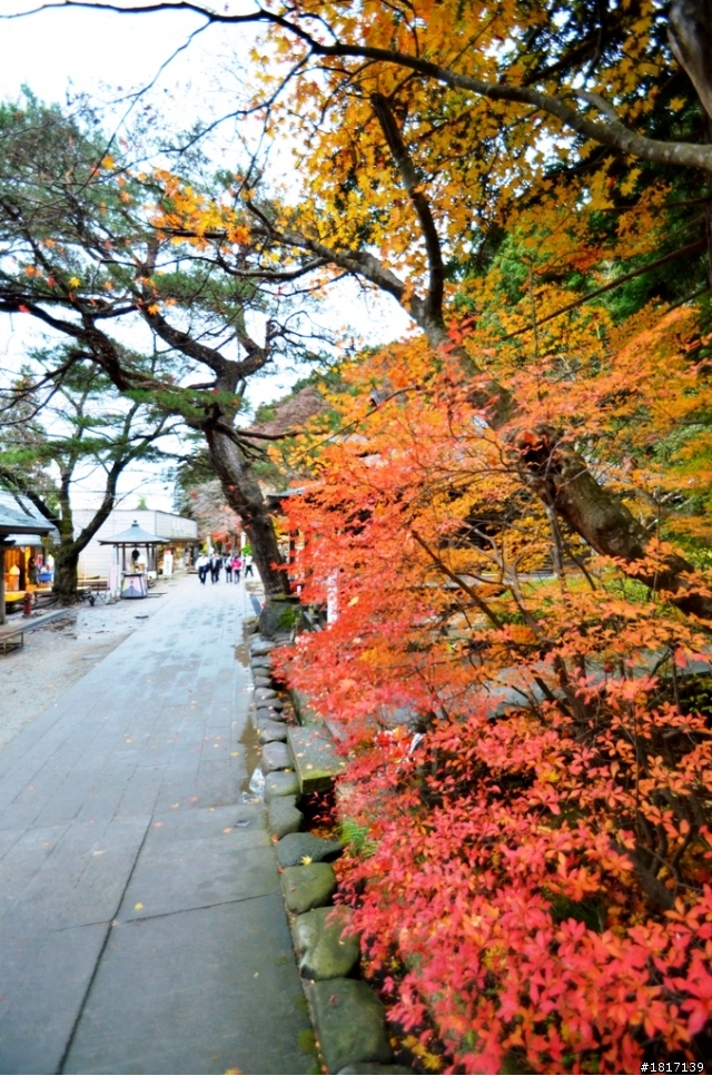 2011日本東北首發團(3)