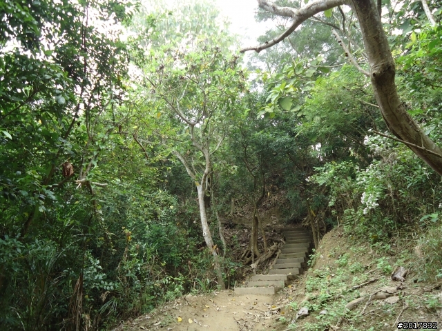 12/15南化北寮糖子恩山(鈺鼎步道)