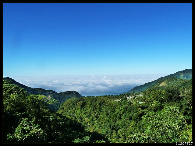 2011.12.07_首探獨立山頭-大坪山