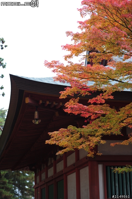 [分享]日本東北新景點 - 平泉