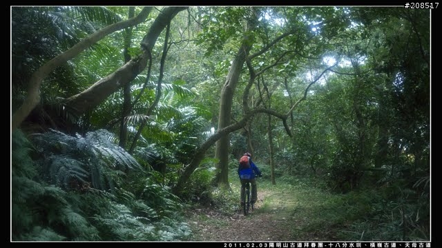 「遊記拾遺」陽明山古道 - 十八分水圳、橫嶺古道、天母古道、天母山步道