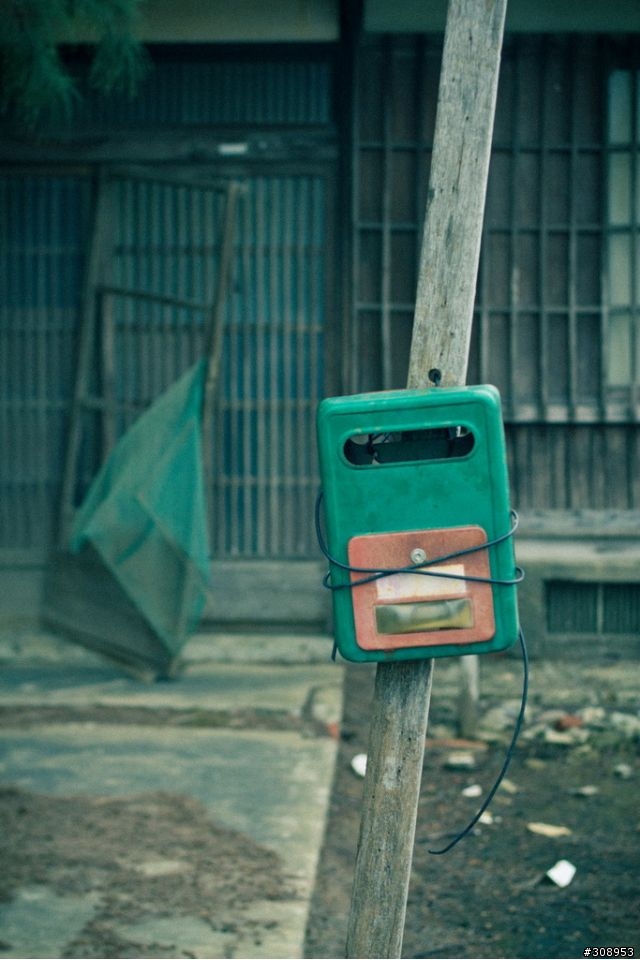第一次用 CANON 60D 拍照 ~~~