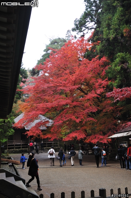 [分享]日本東北新景點 - 平泉