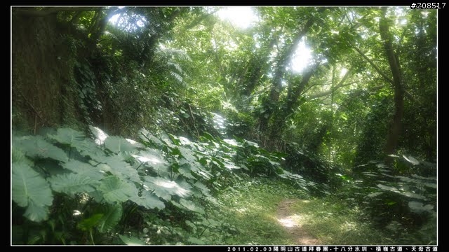 「遊記拾遺」陽明山古道 - 十八分水圳、橫嶺古道、天母古道、天母山步道